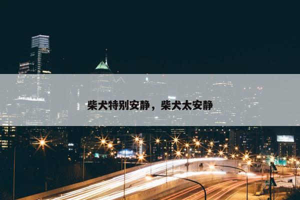 柴犬特别安静，柴犬太安静