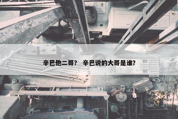 辛巴他二哥？ 辛巴说的大哥是谁？