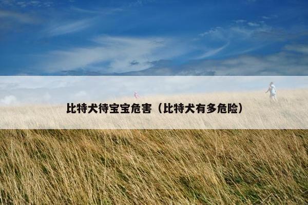 比特犬待宝宝危害（比特犬有多危险）