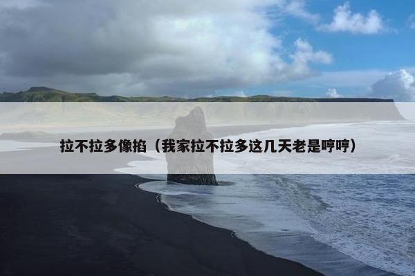 拉不拉多像掐（我家拉不拉多这几天老是哼哼）