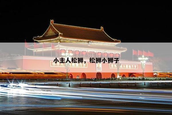 小主人松狮，松狮小狮子