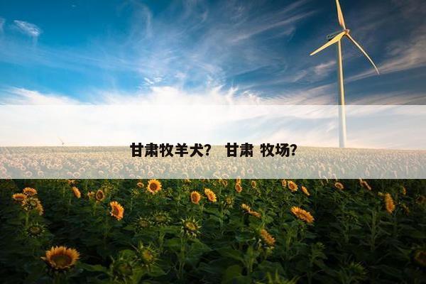 甘肃牧羊犬？ 甘肃 牧场？