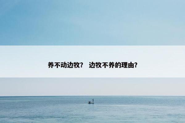 养不动边牧？ 边牧不养的理由？