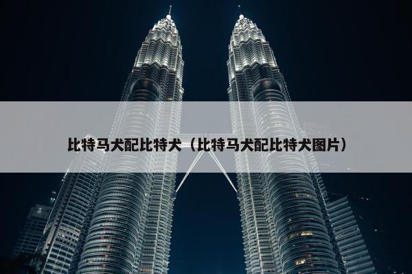 比特马犬配比特犬（比特马犬配比特犬图片）