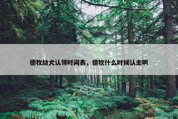 德牧幼犬认领时间表，德牧什么时候认主啊