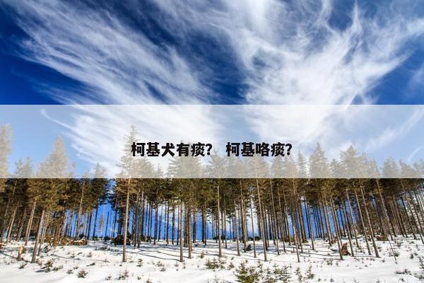 柯基犬有痰？ 柯基咯痰？