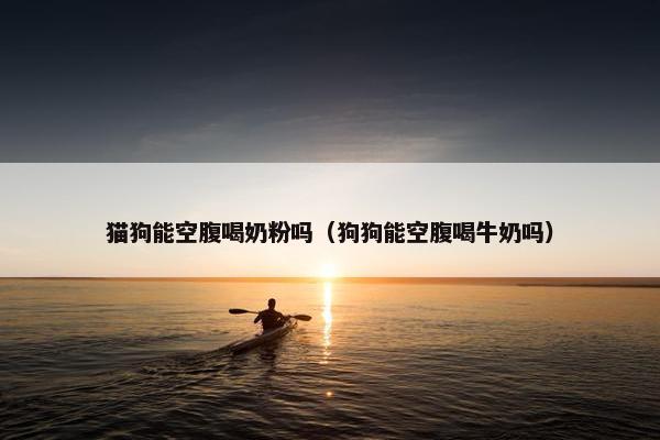 猫狗能空腹喝奶粉吗（狗狗能空腹喝牛奶吗）