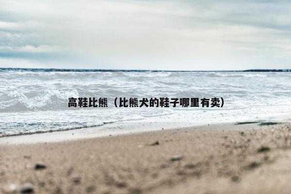 高鞋比熊（比熊犬的鞋子哪里有卖）