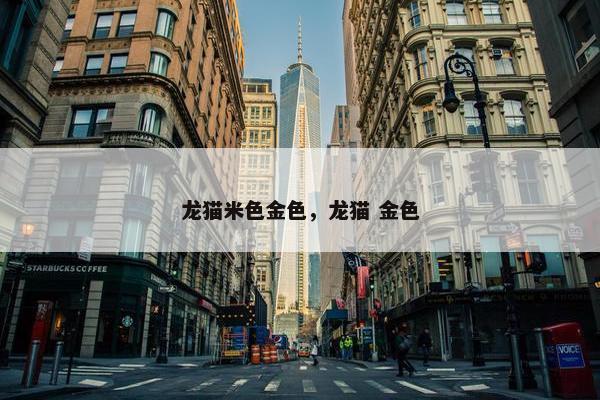 龙猫米色金色，龙猫 金色