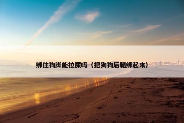 绑住狗脚能拉屎吗（把狗狗后腿绑起来）