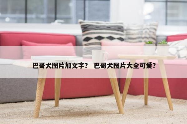 巴哥犬图片加文字？ 巴哥犬图片大全可爱？