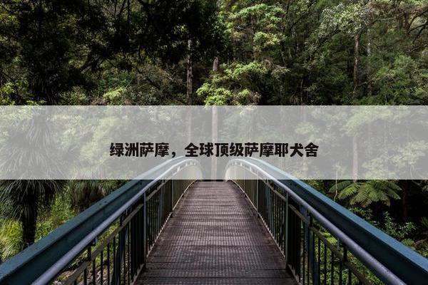 绿洲萨摩，全球顶级萨摩耶犬舍