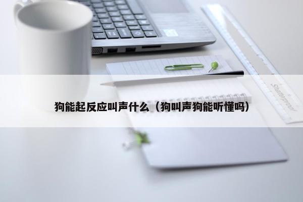 狗能起反应叫声什么（狗叫声狗能听懂吗）