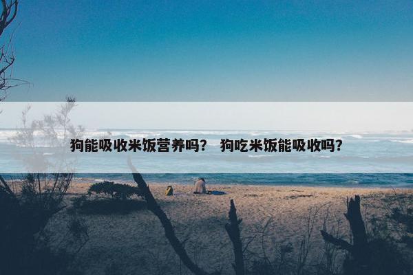 狗能吸收米饭营养吗？ 狗吃米饭能吸收吗？