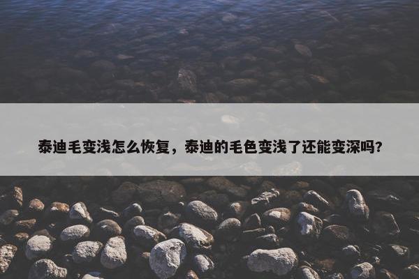 泰迪毛变浅怎么恢复，泰迪的毛色变浅了还能变深吗?