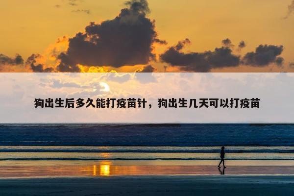 狗出生后多久能打疫苗针，狗出生几天可以打疫苗