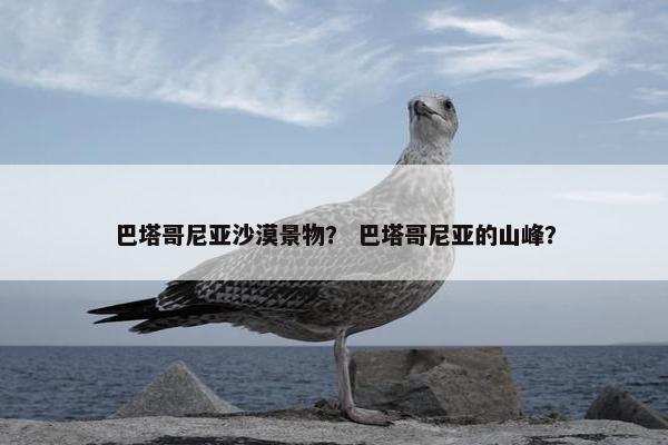 巴塔哥尼亚沙漠景物？ 巴塔哥尼亚的山峰？