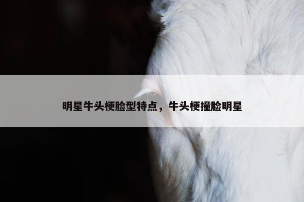 明星牛头梗脸型特点，牛头梗撞脸明星