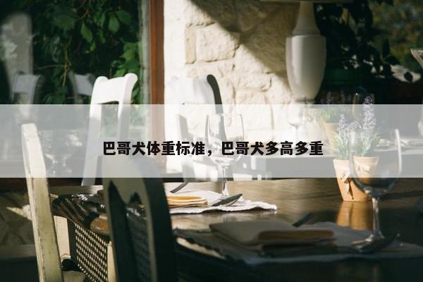 巴哥犬体重标准，巴哥犬多高多重
