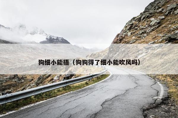 狗细小能捂（狗狗得了细小能吹风吗）