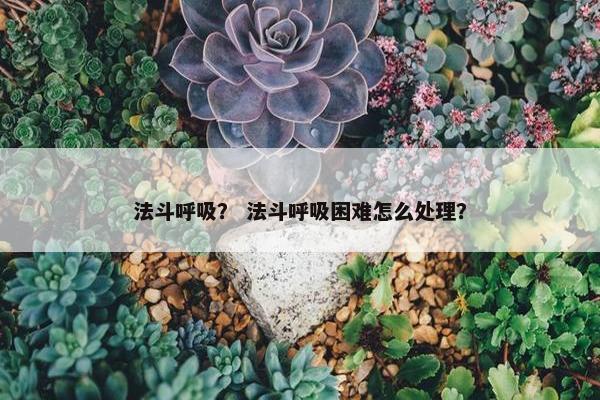 法斗呼吸？ 法斗呼吸困难怎么处理？