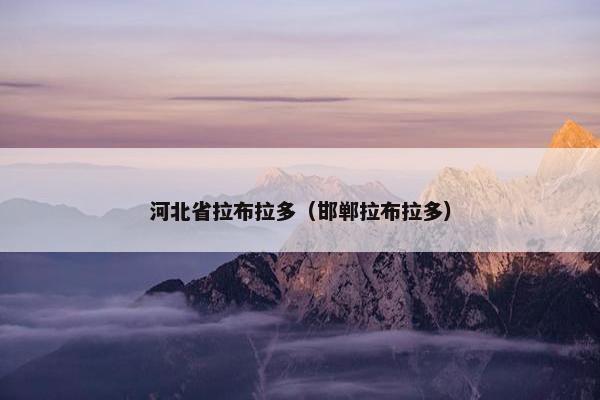 河北省拉布拉多（邯郸拉布拉多）