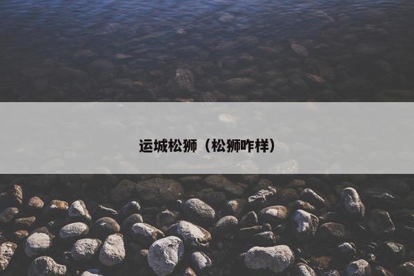 运城松狮（松狮咋样）
