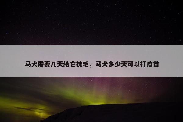 马犬需要几天给它梳毛，马犬多少天可以打疫苗