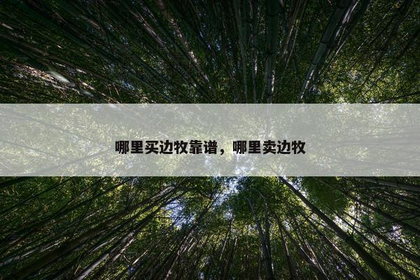 哪里买边牧靠谱，哪里卖边牧