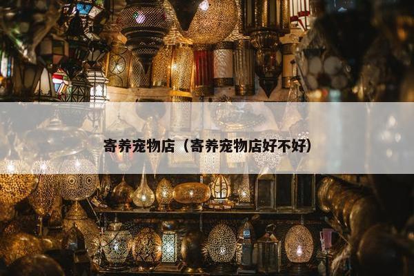 寄养宠物店（寄养宠物店好不好）
