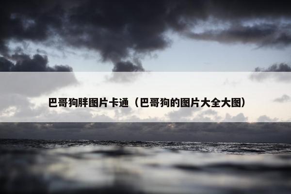 巴哥狗胖图片卡通（巴哥狗的图片大全大图）