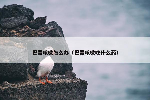 巴哥咳嗽怎么办（巴哥咳嗽吃什么药）