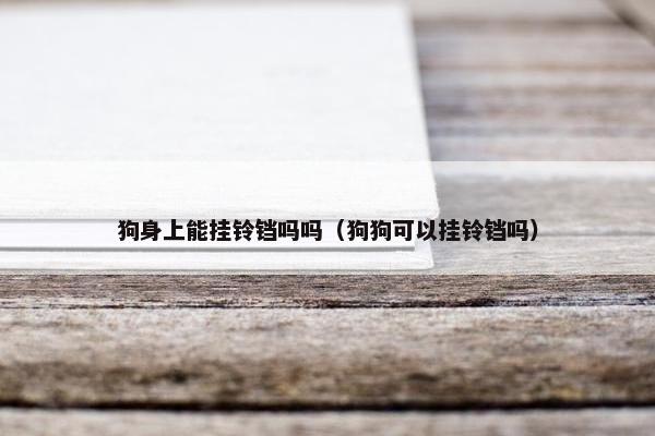 狗身上能挂铃铛吗吗（狗狗可以挂铃铛吗）