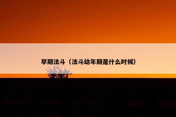 早期法斗（法斗幼年期是什么时候）