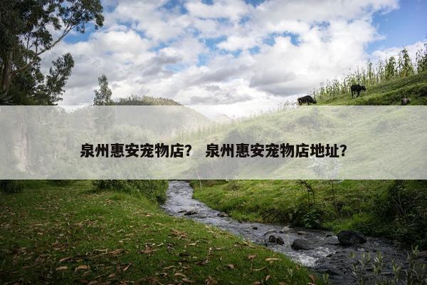 泉州惠安宠物店？ 泉州惠安宠物店地址？
