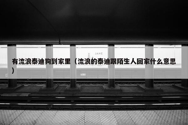 有流浪泰迪狗到家里（流浪的泰迪跟陌生人回家什么意思）