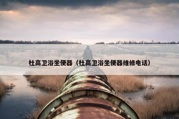 杜高卫浴坐便器（杜高卫浴坐便器维修电话）
