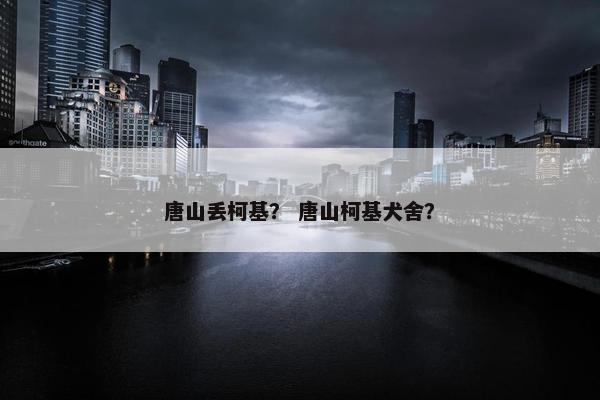 唐山丢柯基？ 唐山柯基犬舍？