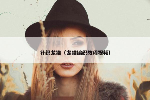 针织龙猫（龙猫编织教程视频）