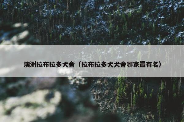 澳洲拉布拉多犬舍（拉布拉多犬犬舍哪家最有名）