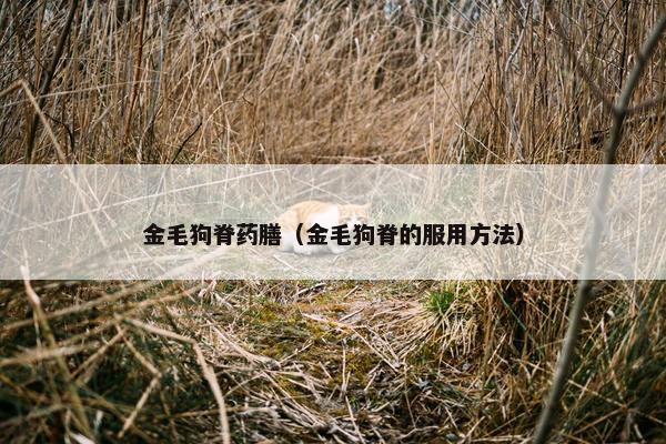 金毛狗脊药膳（金毛狗脊的服用方法）