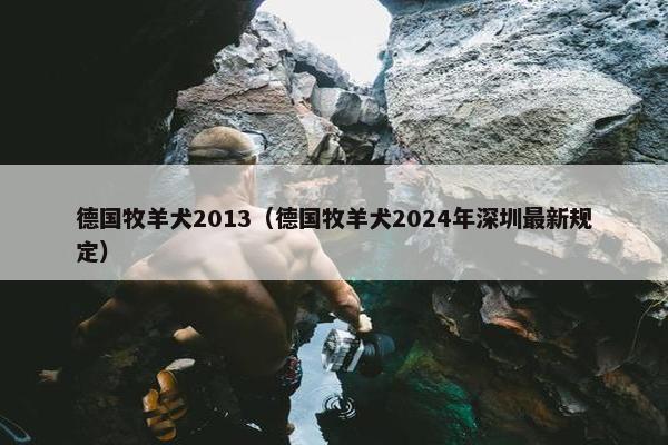 德国牧羊犬2013（德国牧羊犬2024年深圳最新规定）