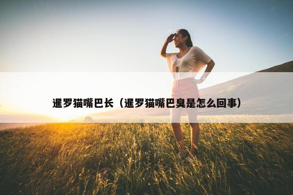 暹罗猫嘴巴长（暹罗猫嘴巴臭是怎么回事）