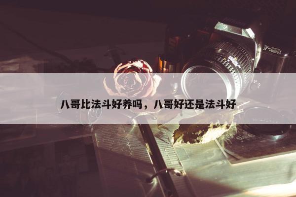 八哥比法斗好养吗，八哥好还是法斗好