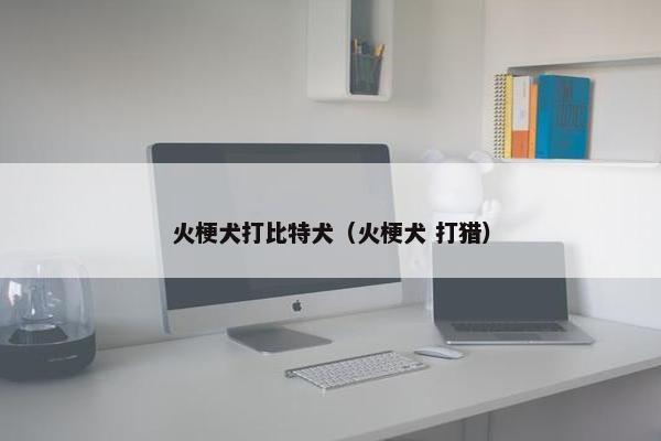 火梗犬打比特犬（火梗犬 打猎）
