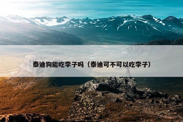 泰迪狗能吃李子吗（泰迪可不可以吃李子）