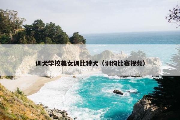 训犬学校美女训比特犬（训狗比赛视频）