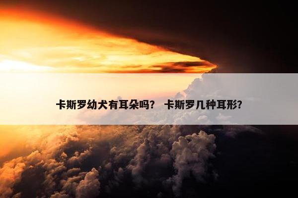 卡斯罗幼犬有耳朵吗？ 卡斯罗几种耳形？
