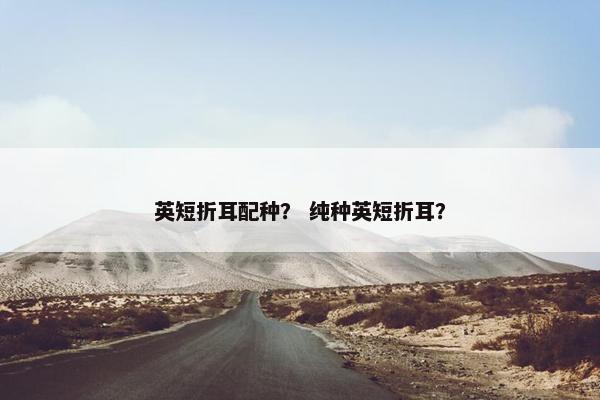 英短折耳配种？ 纯种英短折耳？