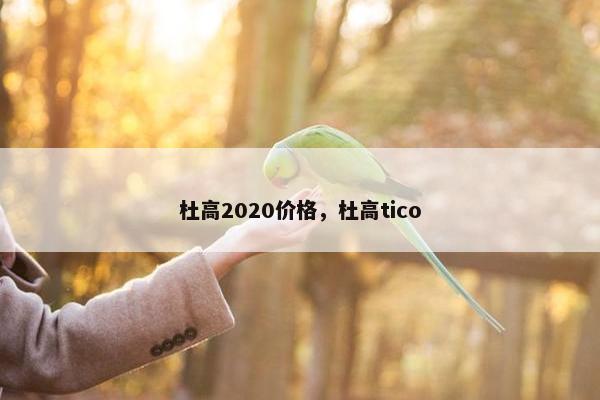杜高2020价格，杜高tico